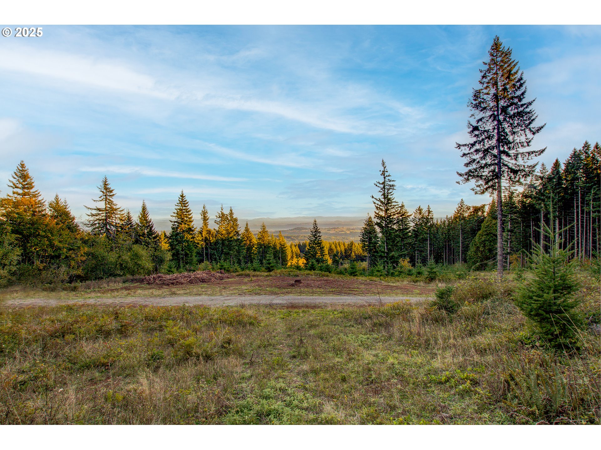 Northeast Hancock Road, Unit 2 Camas, WA 98607 - Photo 2 of 21