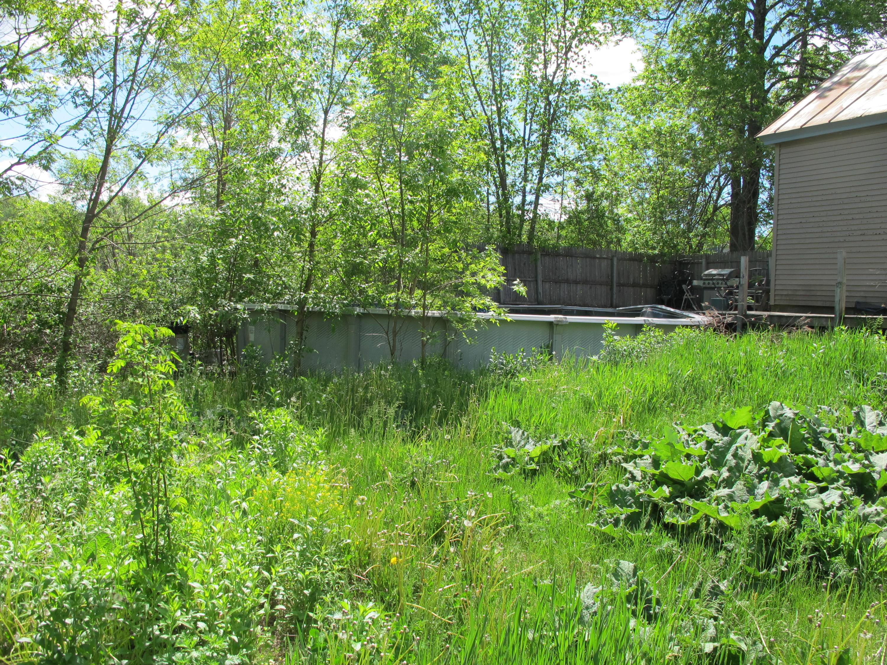 123 Winslow Road Albion, ME 04910 - Photo 4 of 8 Yard