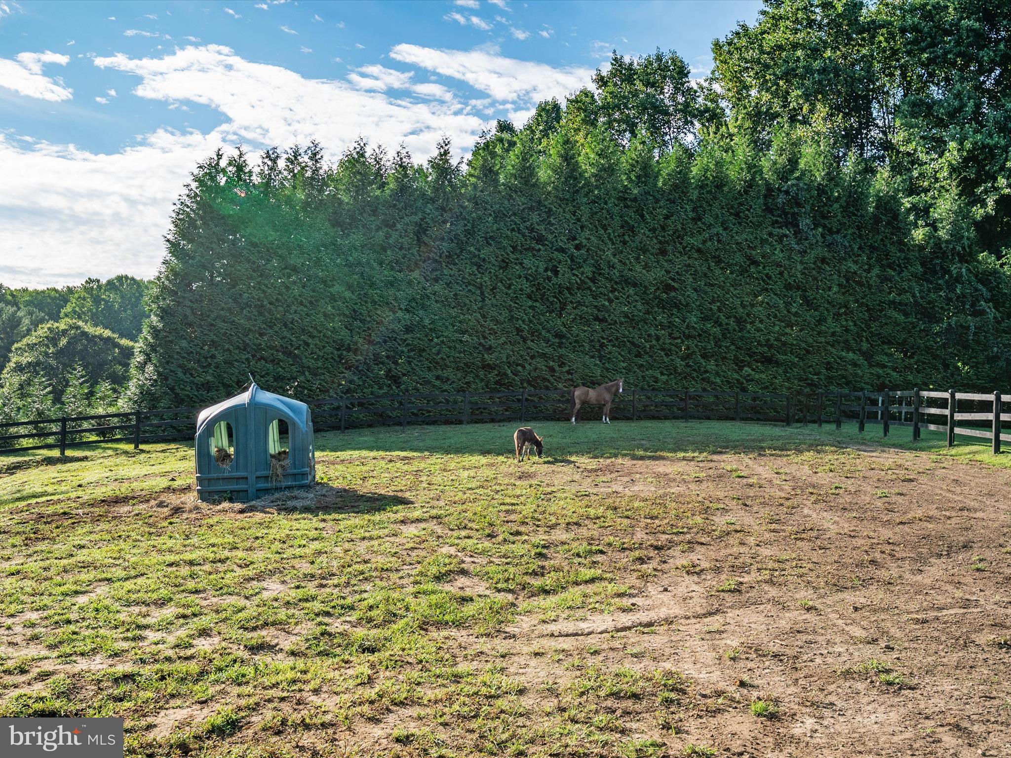 1166 Bacon Ridge Road Crownsville, MD 21032 - Photo 114 of 129 Field 4