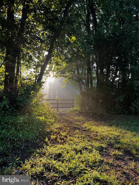 1166 Bacon Ridge Road Crownsville, MD 21032 - Photo 125 of 129