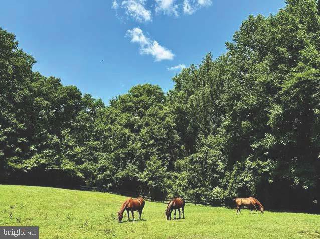 1166 Bacon Ridge Road Crownsville, MD 21032 - Photo 12 of 129 Pasture