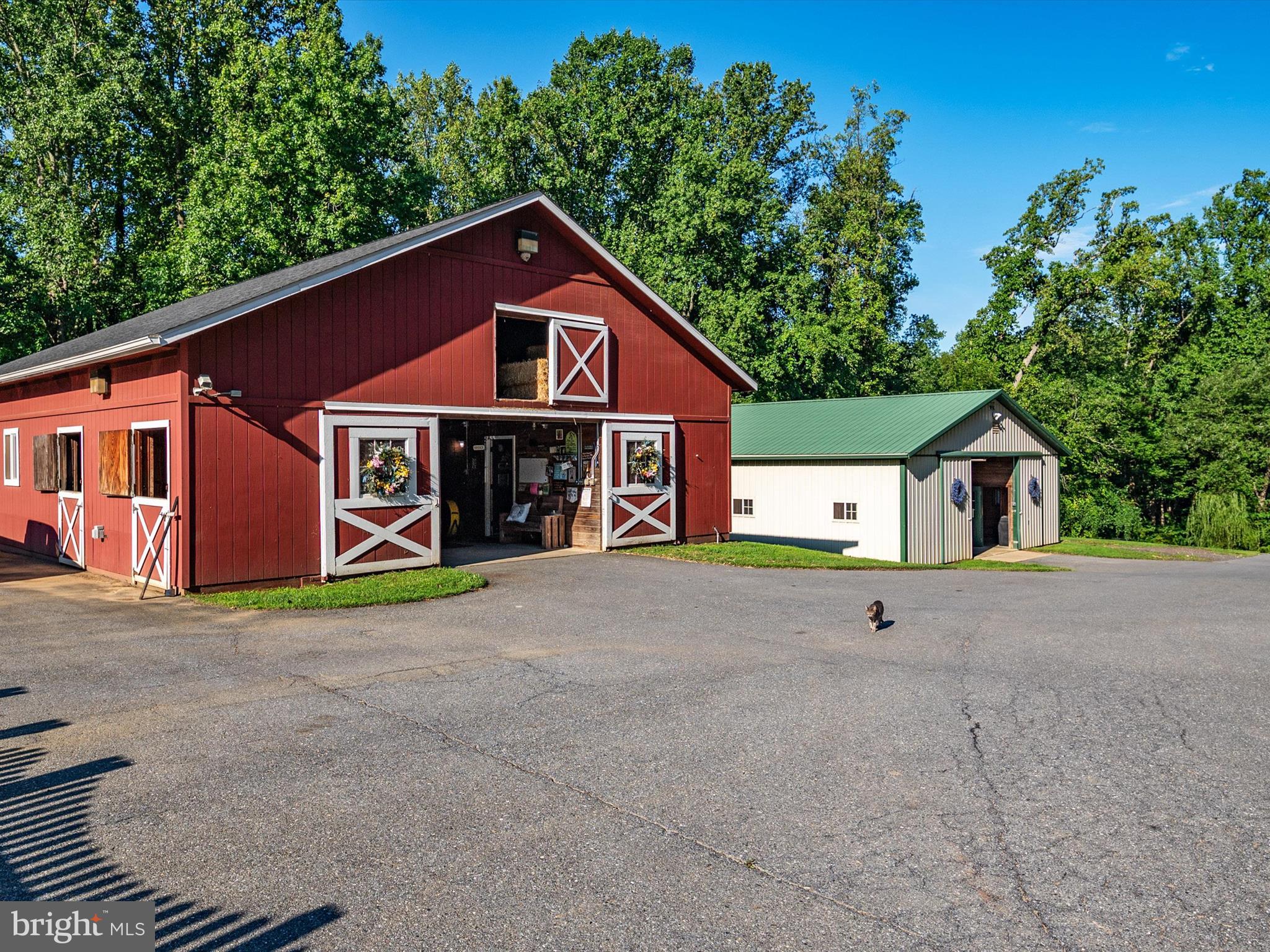 1166 Bacon Ridge Road Crownsville, MD 21032 - Photo 7 of 129 2 Barns/11 Stalls