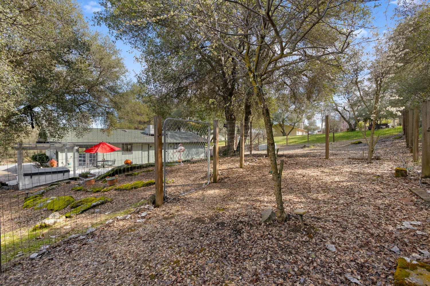31772 Comanche Road Coarsegold, CA 93614 - Photo 43 of 43 Gallery Image 43
