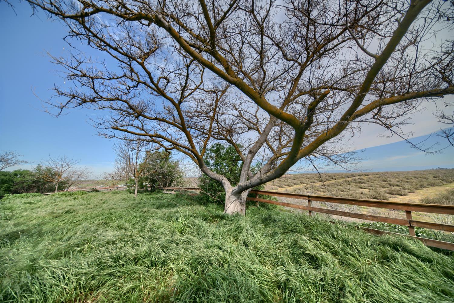 17164 Keyes Road Snelling, CA 95369 - Photo 76 of 97