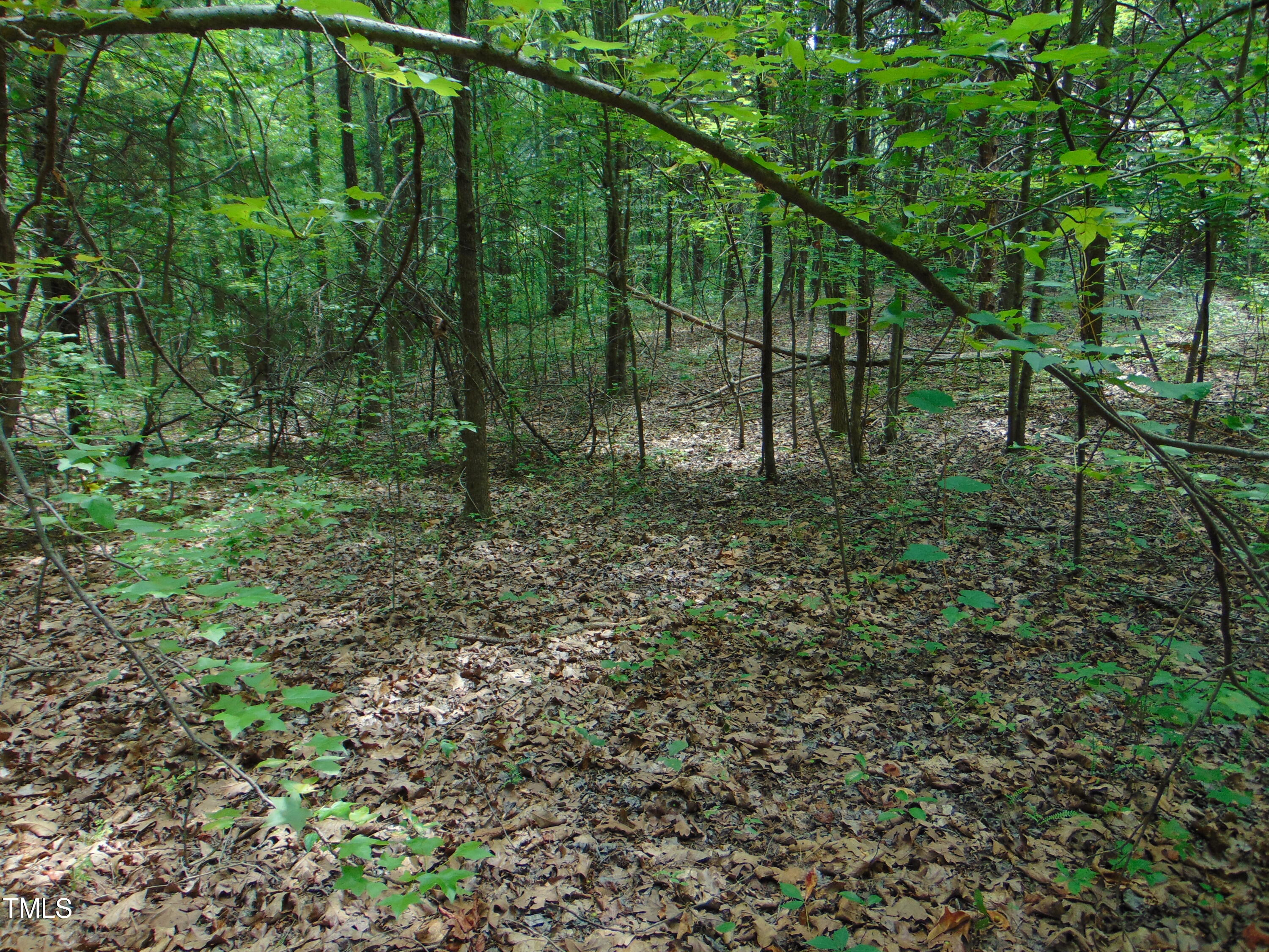 0 Newnam Road Pelham, NC 27311 - Photo 11 of 11 DSC00788