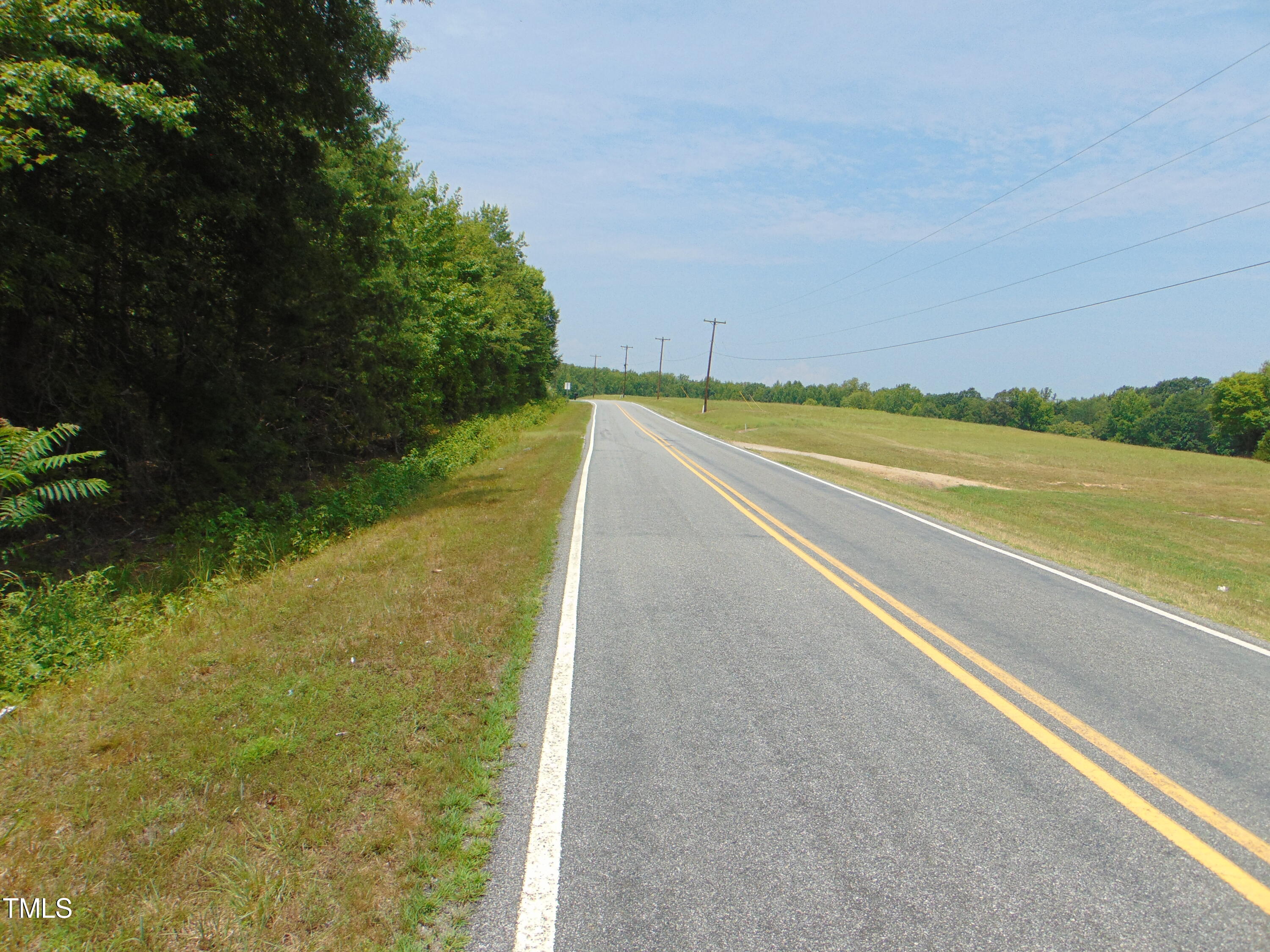 0 Newnam Road Pelham, NC 27311 - Photo 8 of 11 DSC00783