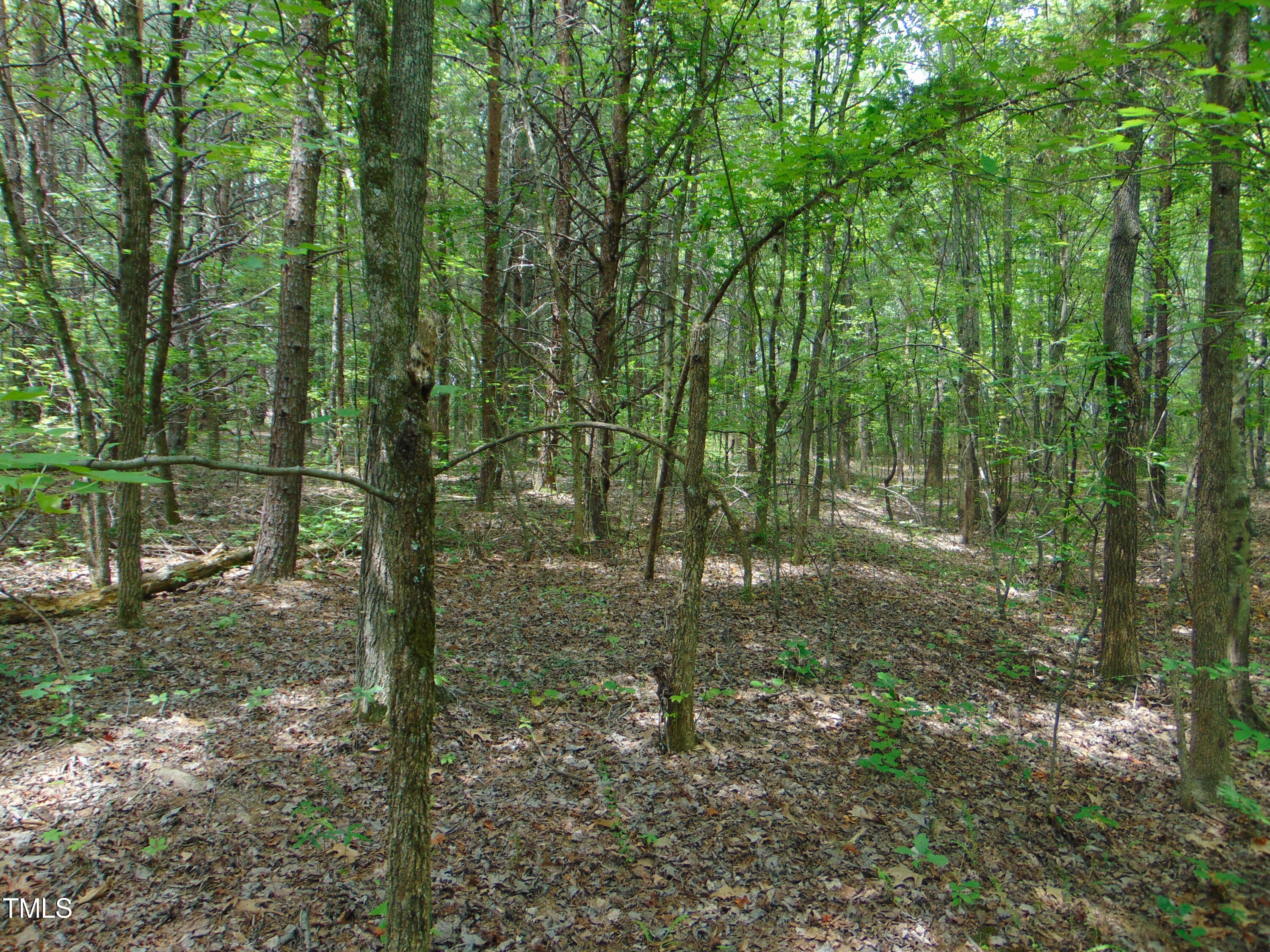 0 Newnam Road Pelham, NC 27311 - Photo 9 of 11 DSC00786