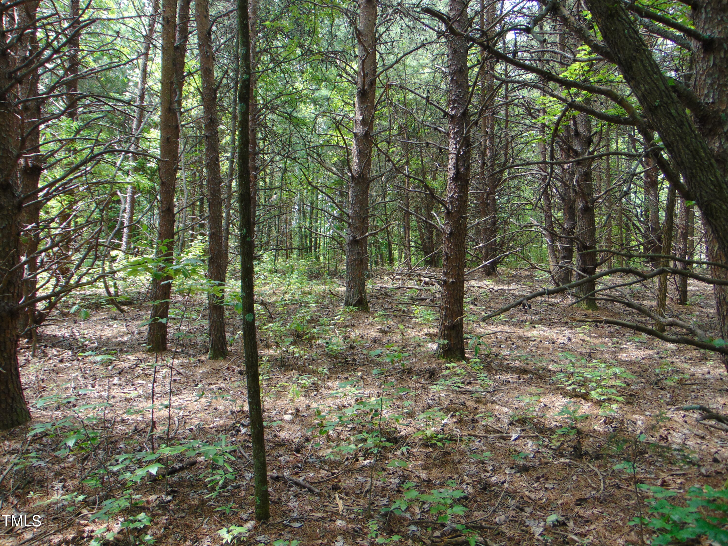 0 Newnam Road Pelham, NC 27311 - Photo 10 of 11 DSC00787