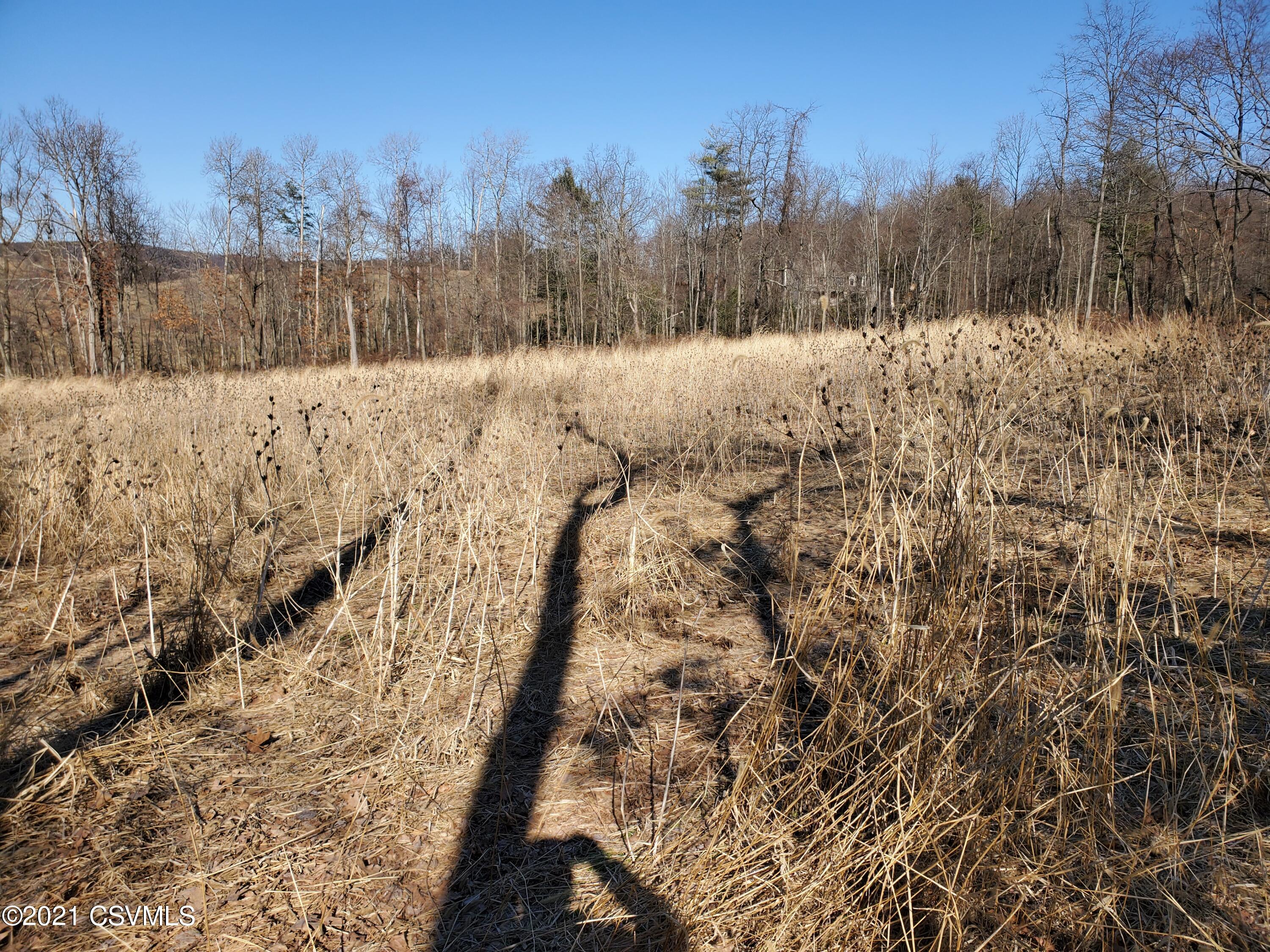 Lot 2 Drumheller Road Paxinos, PA 17860 - Photo 2 of 9 Gallery Image 2