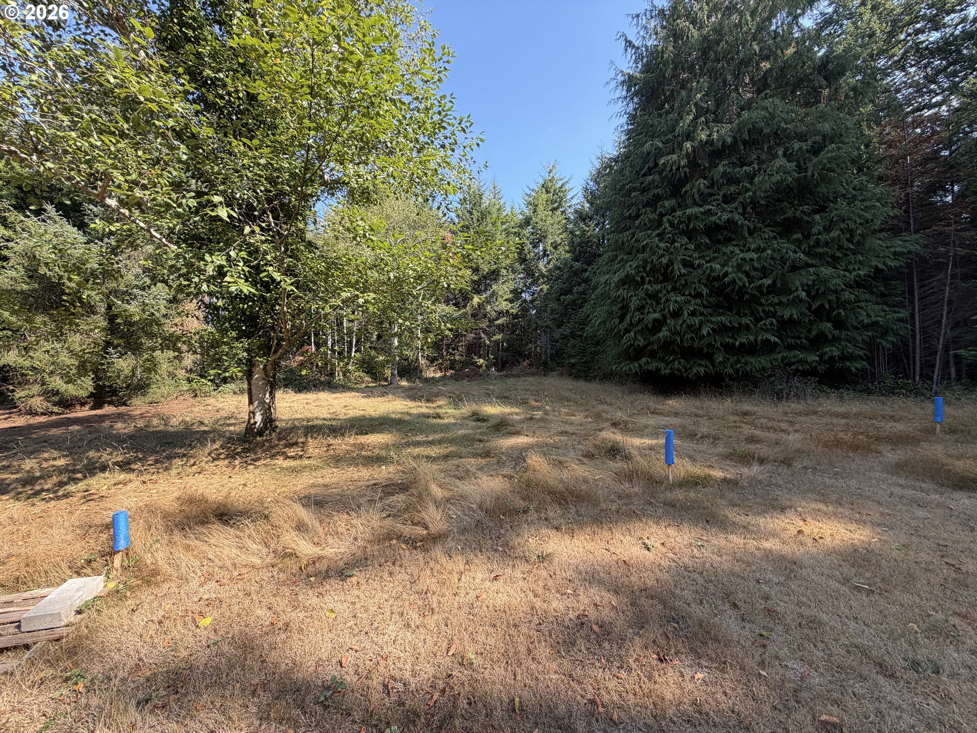 Clear Lake Road Florence, OR 97439 - Photo 28 of 38 Gallery Image 28