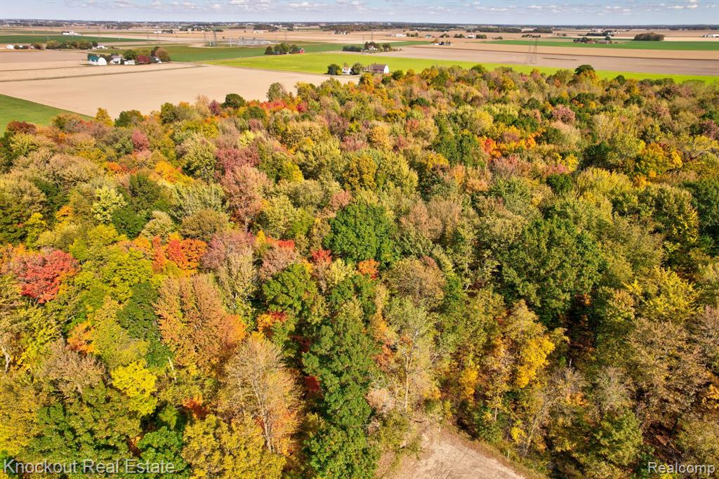 4000 South Reese Road Frankenmuth, MI 48734 - Photo 11 of 18
