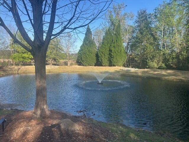 2040 Promenade Court Mount Pleasant, SC 29466 - Photo 34 of 50 2040 Promenade - Pic 53