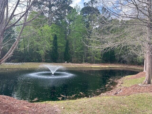 2040 Promenade Court Mount Pleasant, SC 29466 - Photo 39 of 56 2040 Promenade - Pic 55