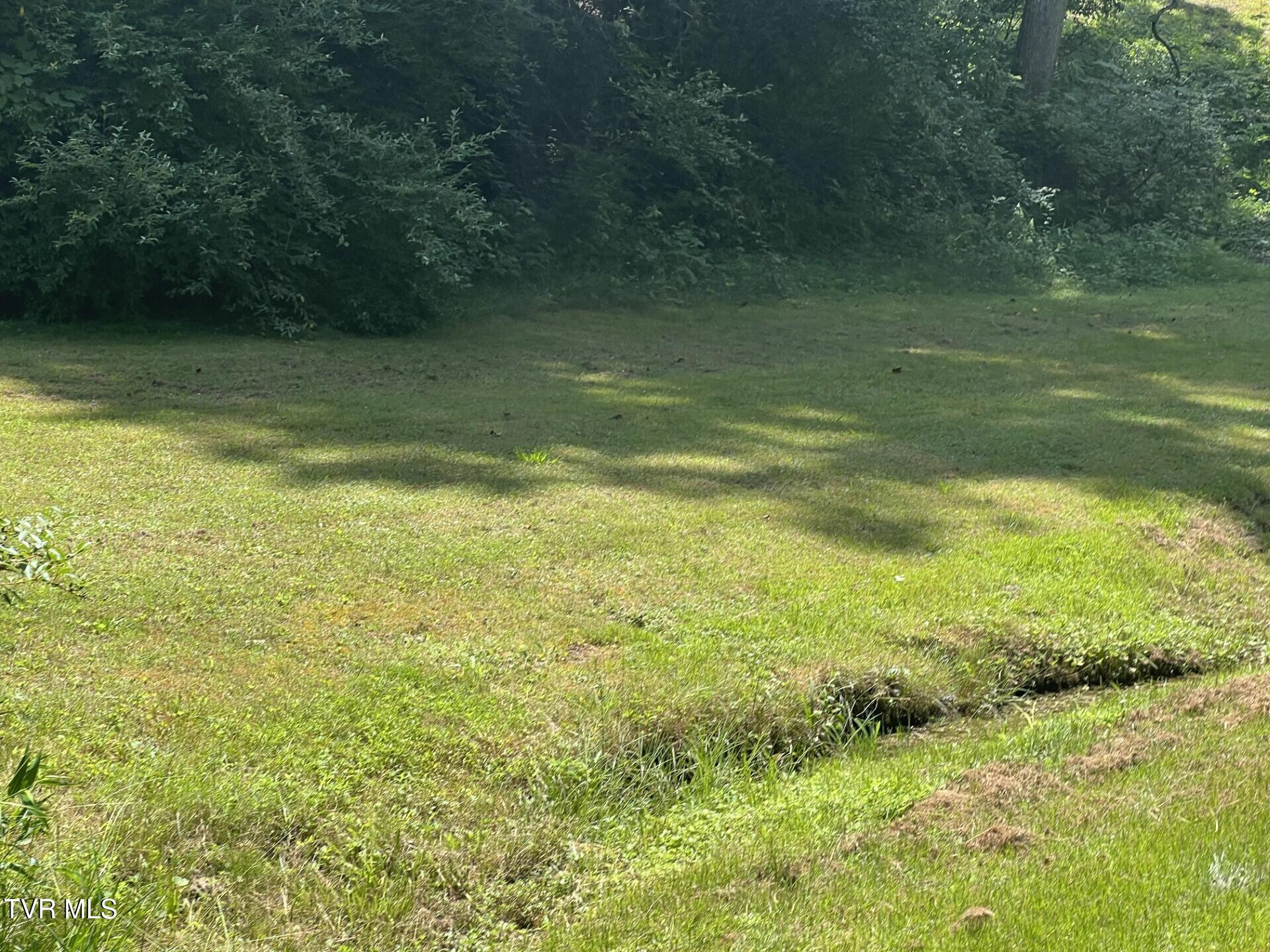 13423 Grayson Road Coeburn, VA 24230 - Photo 10 of 12 Yard c2