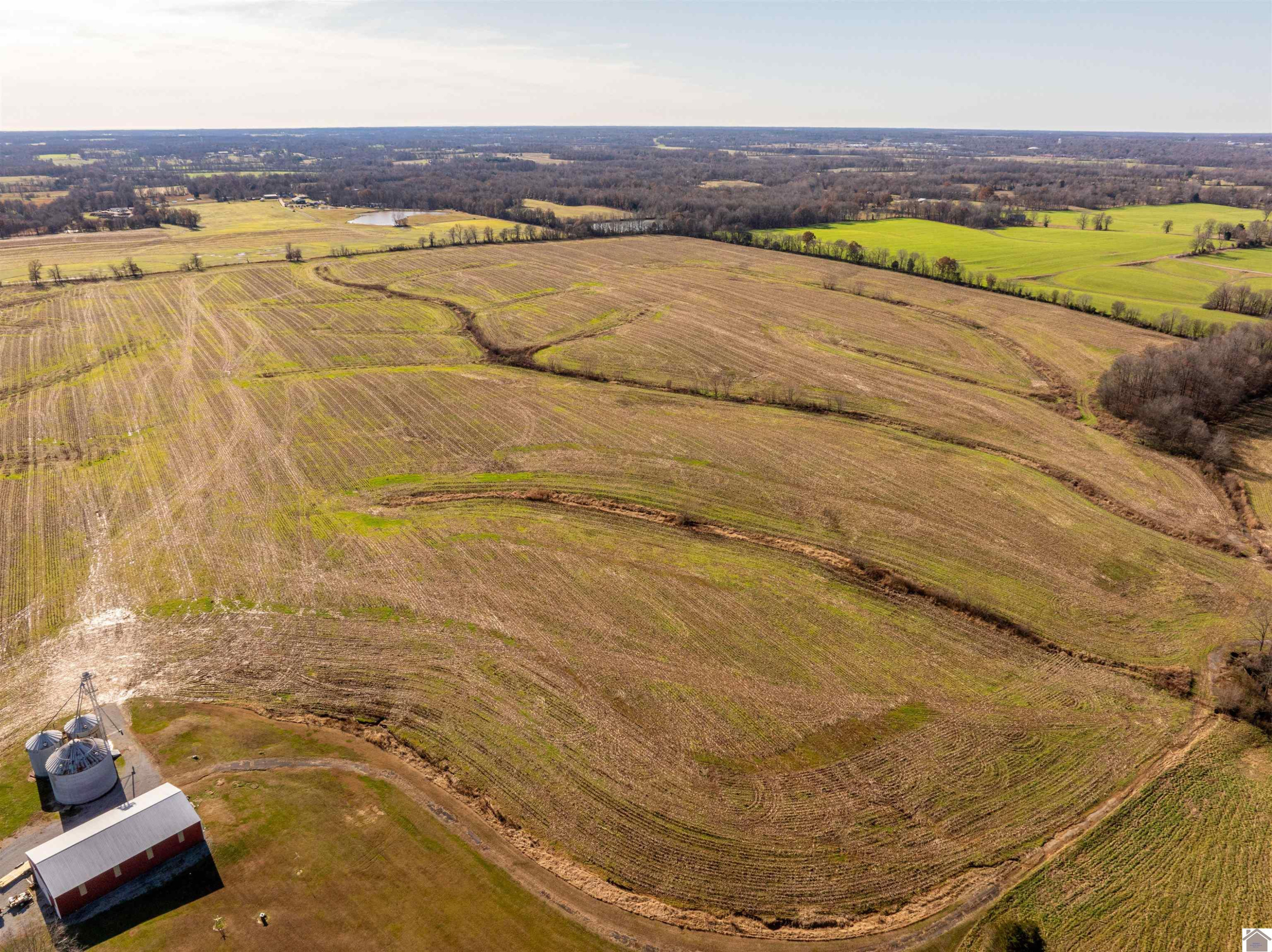 0 Byrd Road Mayfield, KY 42066 - Photo 10 of 13 Photo 10