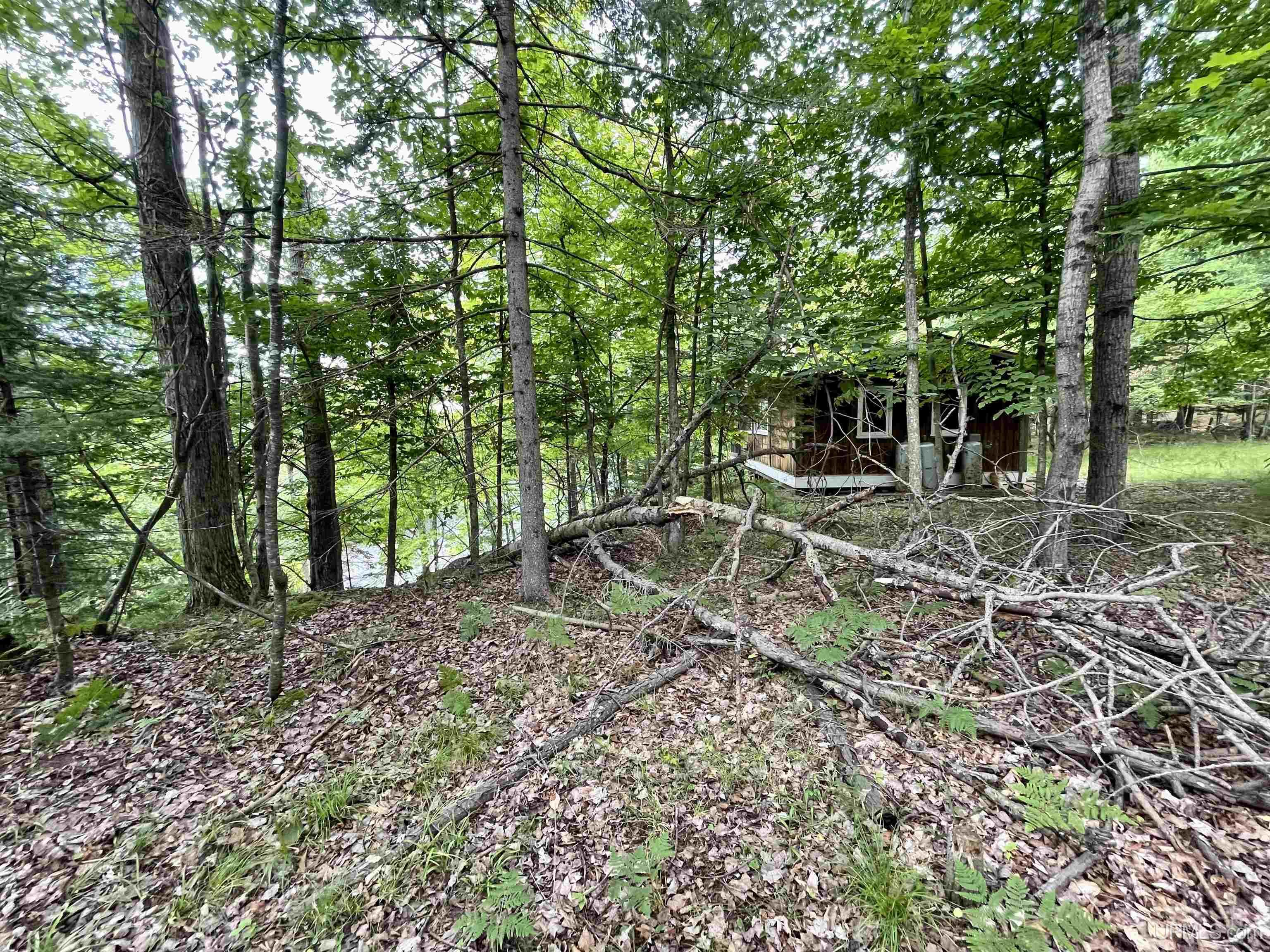 23.5 Rd Gladstone Mi 49837 Road Gladstone, MI 49837 - Photo 37 of 45