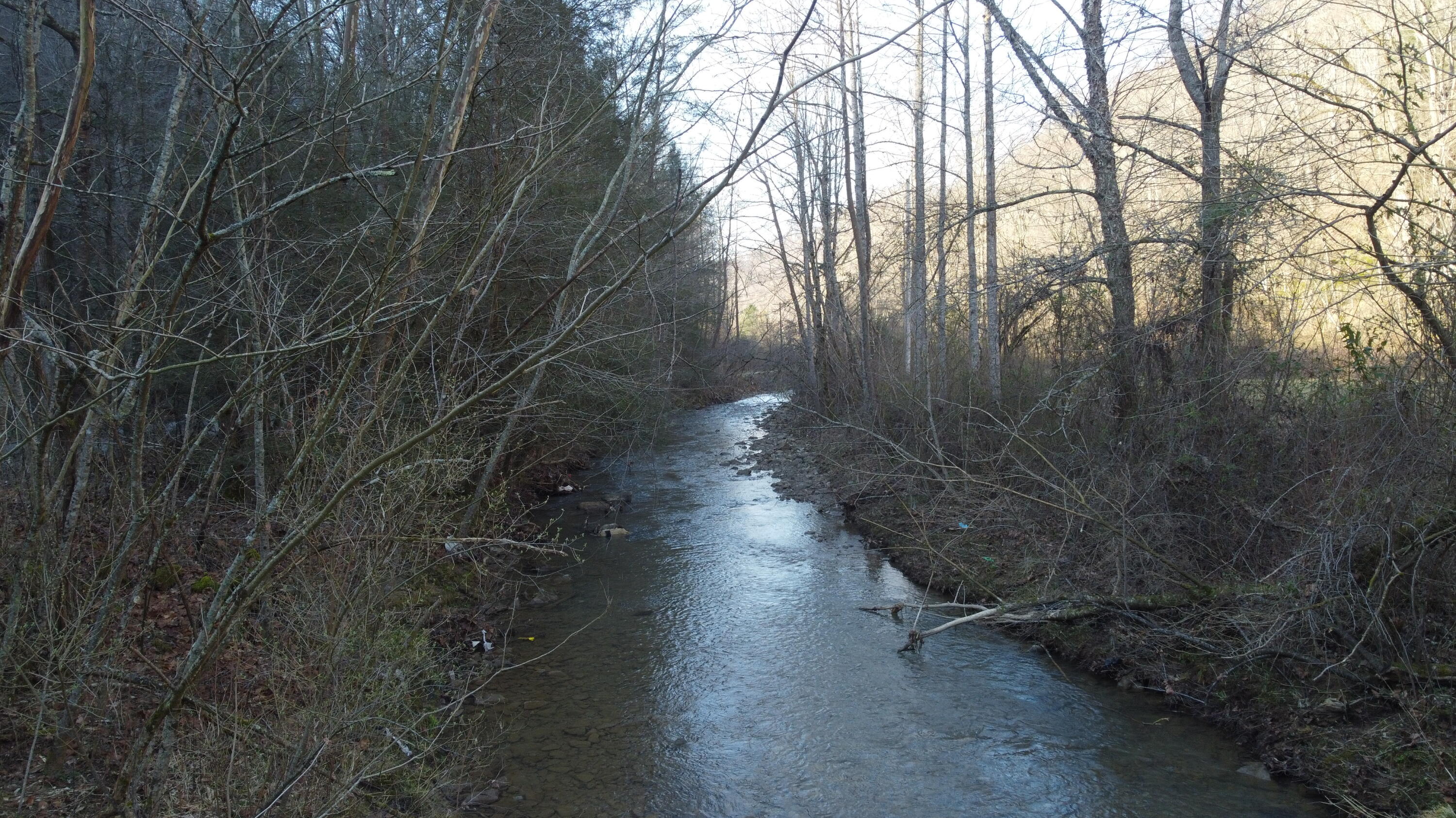 500 Simms Fork Road Arjay, KY 40902 - Photo 12 of 12 DJI_0578