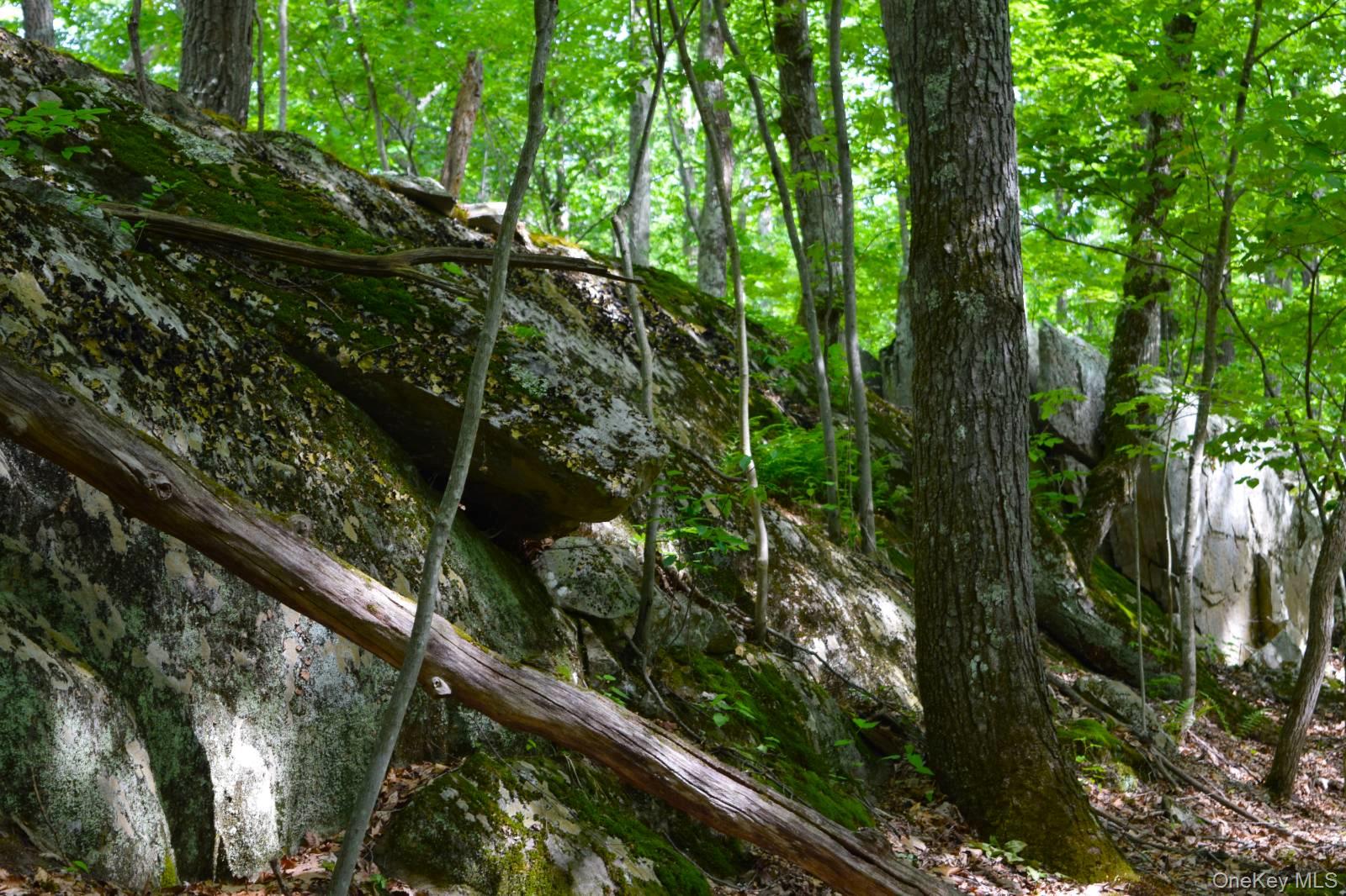 33 Old East Road Wallkill, NY 12589 - Photo 18 of 24 Gallery Image 18