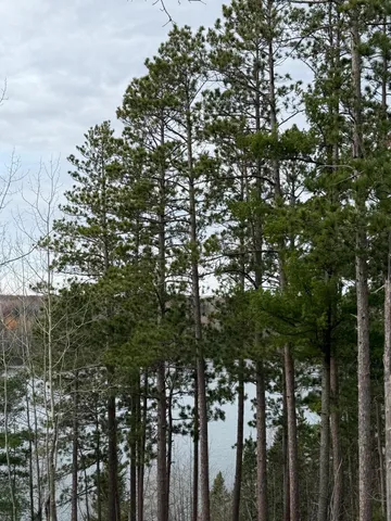 $130,000 | Tbd Quetzal Drive, Solway, MN 56678