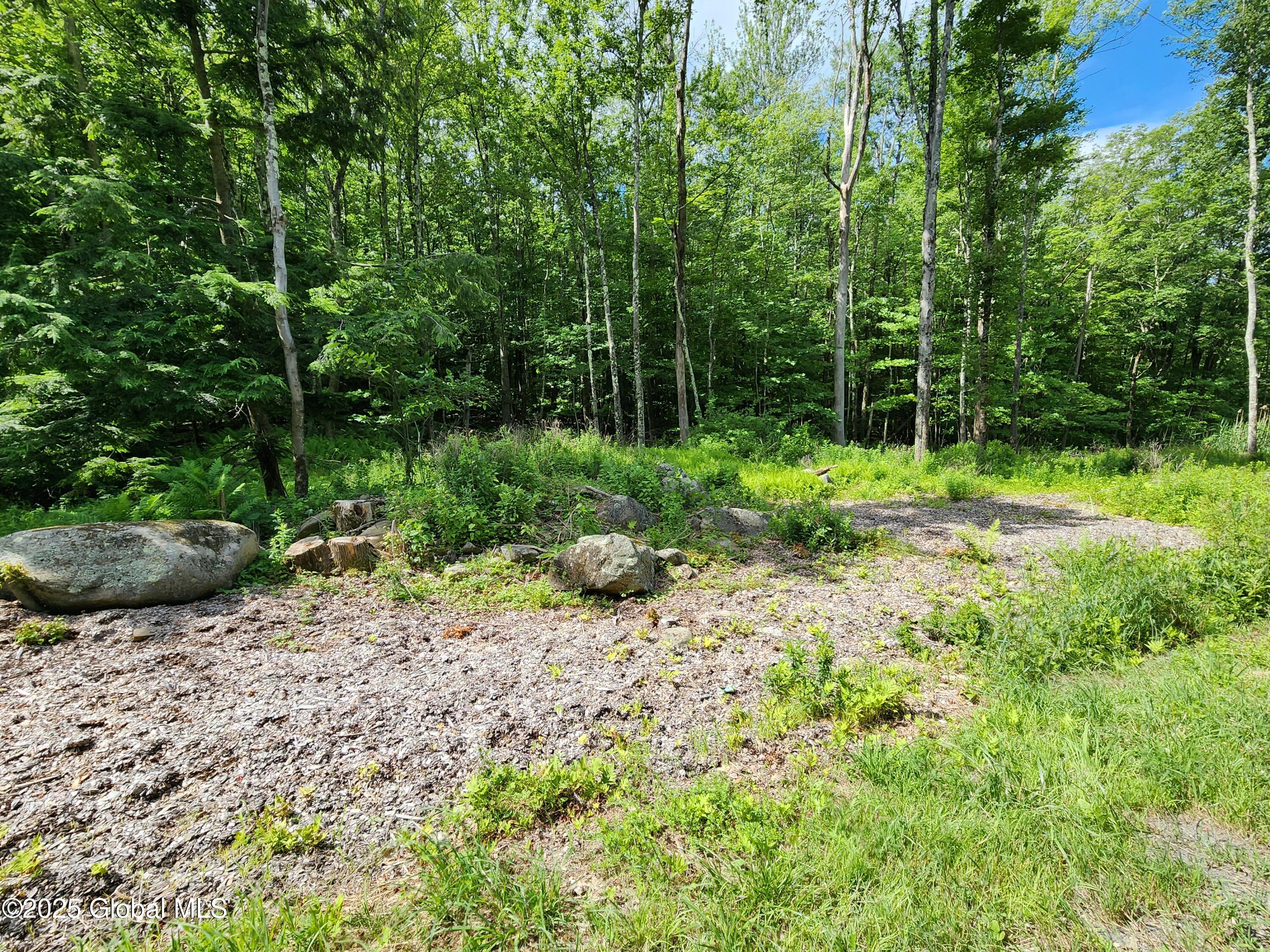 140 Roaser Road Sand Lake, NY 12153 - Photo 25 of 35 20250629_102855