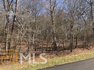 260 Three Oaks Drive Athens, GA 30607 - Photo 1 of 1 2.37 Acre lot in Kenney Ridge