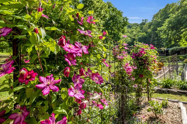 $1,895,000 | 28 Bussell Road, Carthage, TN 37030