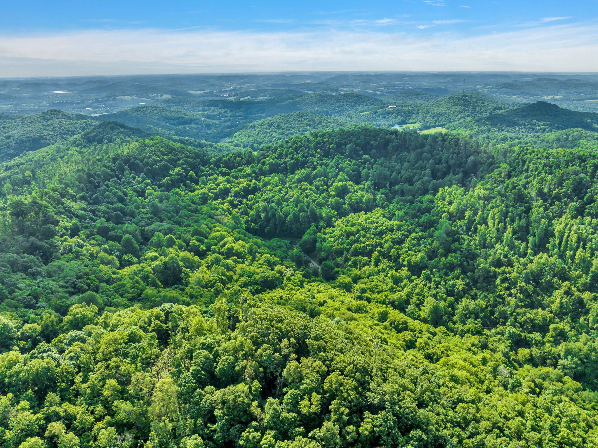 28 Bussell Road Carthage, TN 37030 - Photo 87 of 100