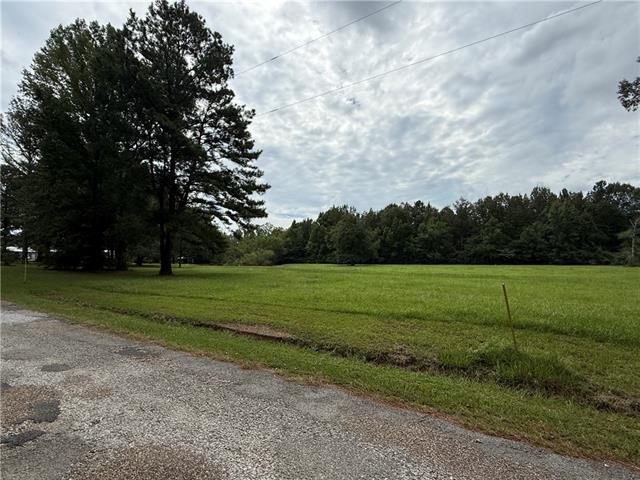 Tbd Smetak Road Deville, LA 71328 - Photo 9 of 10 Gallery Image 9