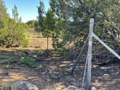 1 Grant Road Concho, AZ 85924 - Photo 14 of 22 14
