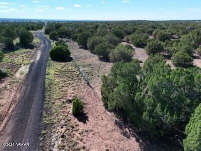 1 Grant Road Concho, AZ 85924 - Photo 15 of 22 15