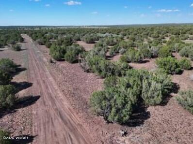 1 Grant Road Concho, AZ 85924 - Photo 16 of 22 16