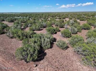 1 Grant Road Concho, AZ 85924 - Photo 18 of 22 18
