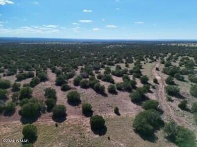1 Grant Road Concho, AZ 85924 - Photo 20 of 22 20