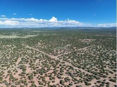 1 Grant Road Concho, AZ 85924 - Photo 2 of 22 2