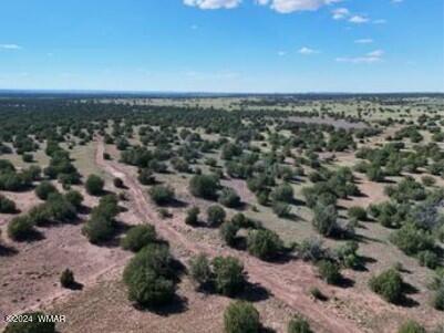 1 Grant Road Concho, AZ 85924 - Photo 21 of 22 21