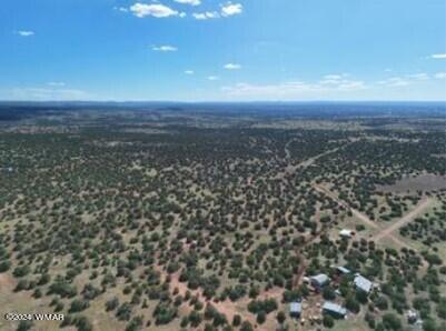 1 Grant Road Concho, AZ 85924 - Photo 3 of 22 3