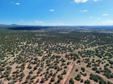 1 Grant Road Concho, AZ 85924 - Photo 4 of 22 4