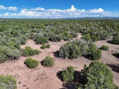 1 Grant Road Concho, AZ 85924 - Photo 6 of 22 6