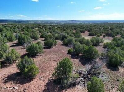 1 Grant Road Concho, AZ 85924 - Photo 8 of 22 8