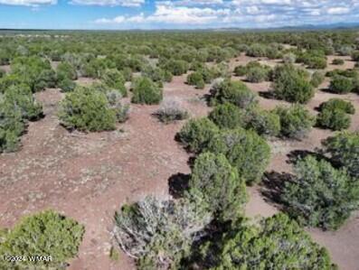 1 Grant Road Concho, AZ 85924 - Photo 9 of 22 9