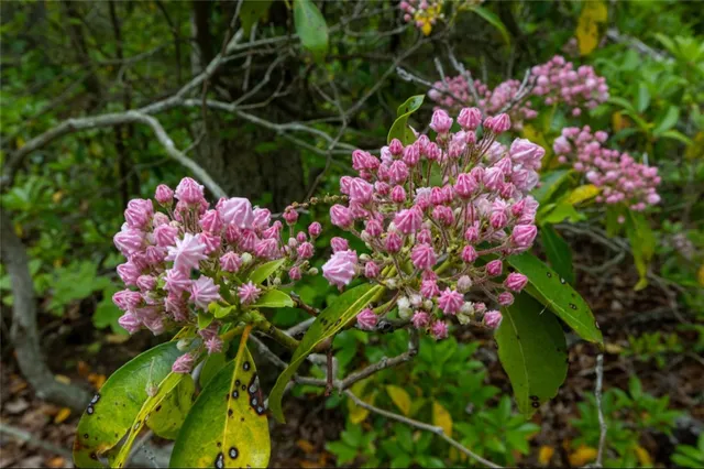 $1,275,000 | 485 Lake Road, Tiverton, RI 02878