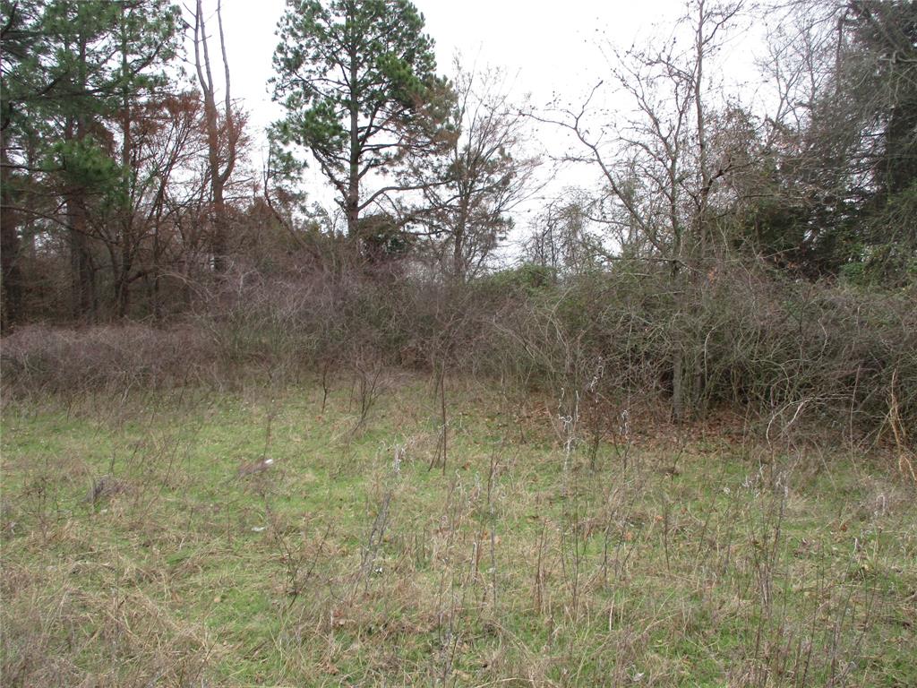 3040 County Road 3040 Emory, TX 75440 - Photo 5 of 6 View of nature