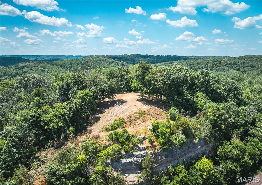 900 Bluff Road Pevely, MO 63070 - Photo 19 of 36