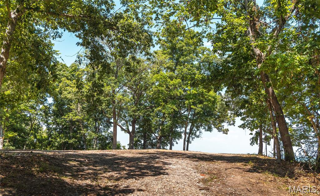 900 Bluff Road Pevely, MO 63070 - Photo 21 of 36