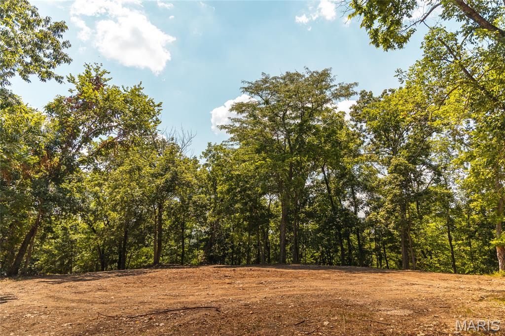 900 Bluff Road Pevely, MO 63070 - Photo 27 of 36