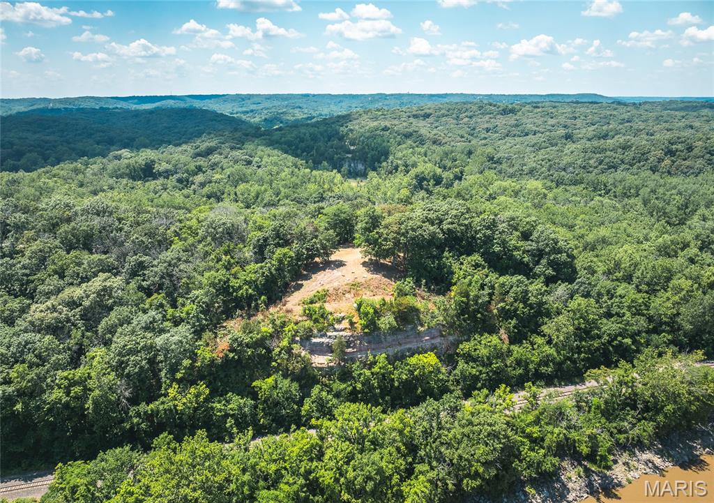 900 Bluff Road Pevely, MO 63070 - Photo 9 of 36