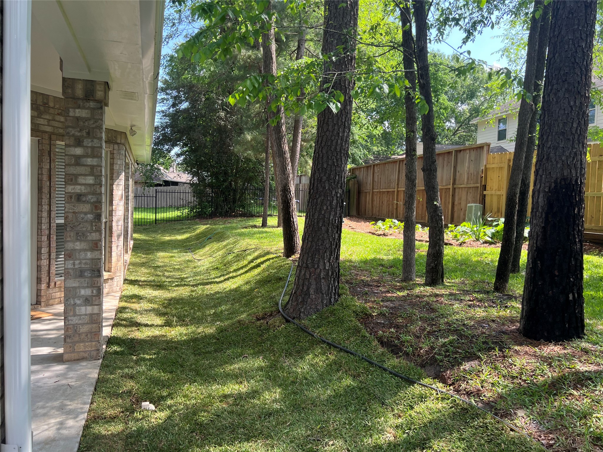 3122 Hemingway Drive Montgomery, TX 77356 - Photo 15 of 15 a view of backyard with tree