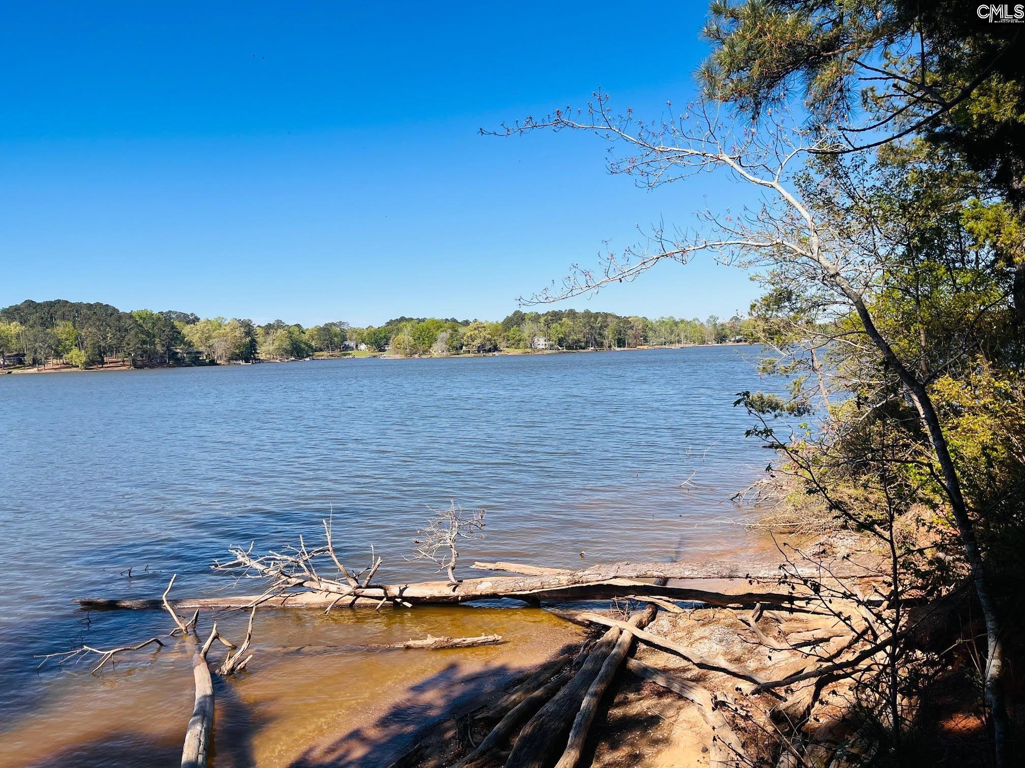0 Lands End Lane Prosperity, SC 29127 - Photo 3 of 20