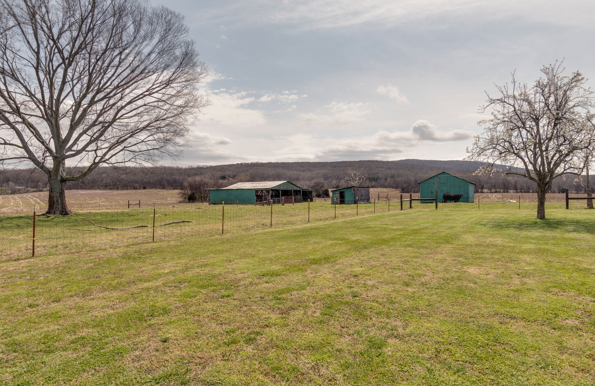1390 Water Tank Road Winchester, TN 37398 - Photo 26 of 30 Gallery Image 26