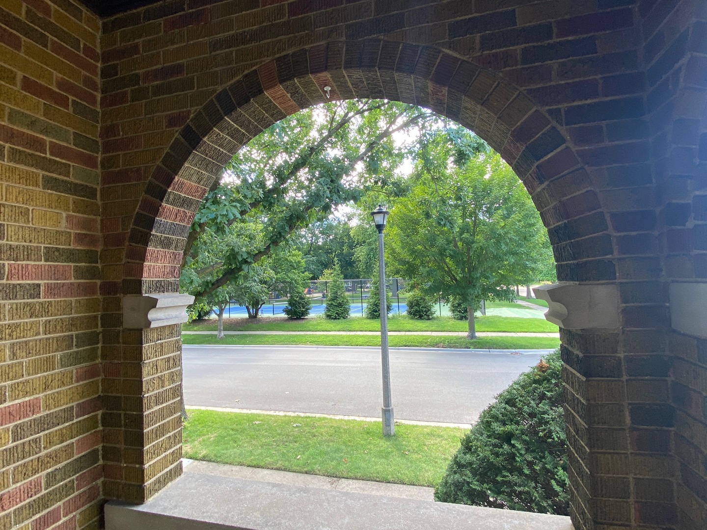 5253 Cleveland Street Skokie, IL 60077 - Photo 3 of 57 a view of a room with a large trees and plants